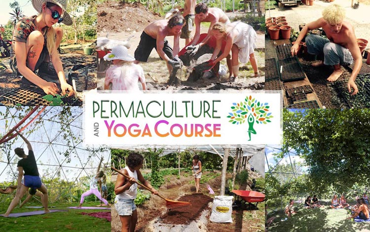 Permaculture-Yoga-Program