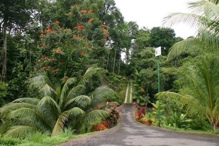 Villas-de-Oros