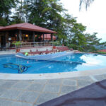 Whales-and-dolphins-eco-lodge