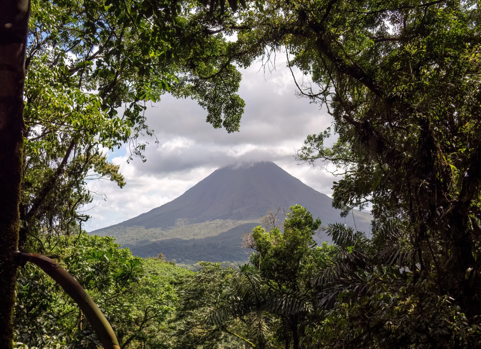 Costa Rica Ecotourism: The Complete Guide to Nature, Wildlife and Responsible Travel, photo 2