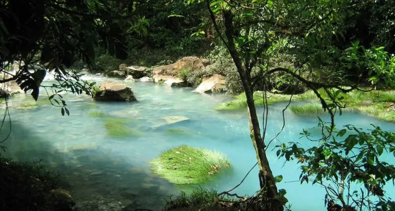 Costa Rica National Parks: The Complete Guide to Rainforests, Volcanoes, Wildlife and Wild Coasts, photo 5