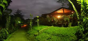 chachagua rain forest lodge