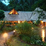 esquinas-rainforest