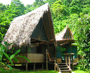 Finca Exotica