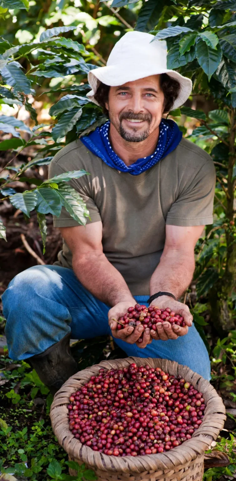Costa Rica’s Five-Leaf Sustainability Rating: What It Meant and How CST Works Today, photo 2