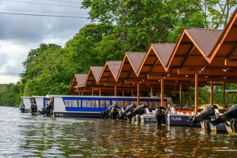 Costa Rica Ecotourism: The Complete Guide to Nature, Wildlife and Responsible Travel, photo 3
