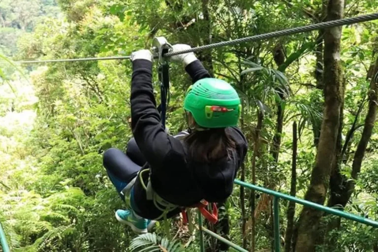 Cloud Forest Lodge, Monteverde, photo 5