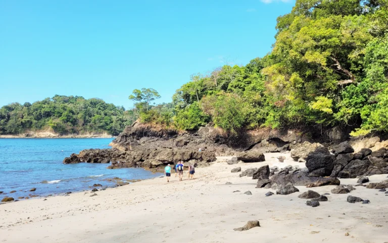 Costa Rica National Parks: The Complete Guide to Rainforests, Volcanoes, Wildlife and Wild Coasts, photo 4