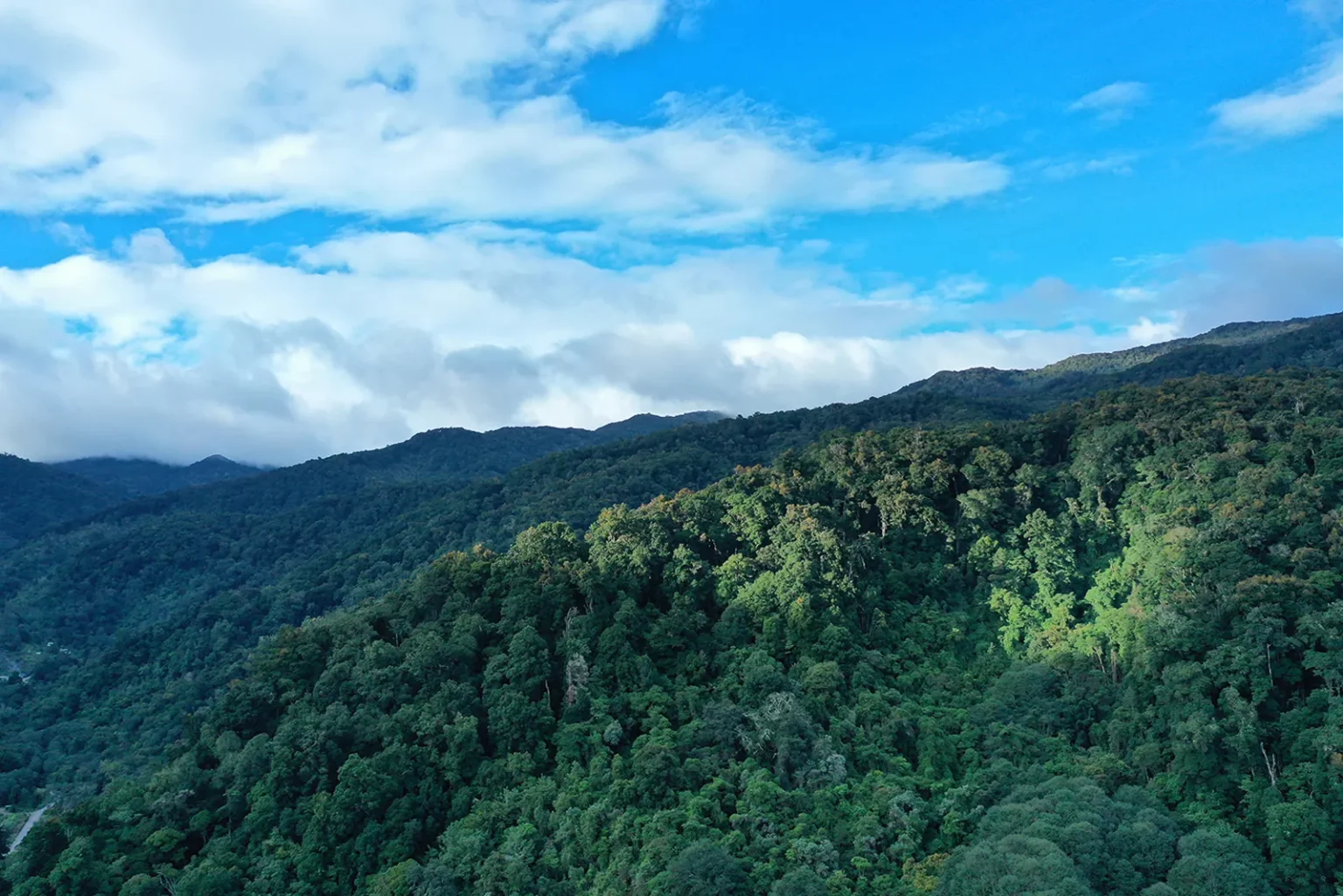 Costa Rica’s Conservation Story: How Forests, National Parks and Ecotourism Changed a Country, photo 2