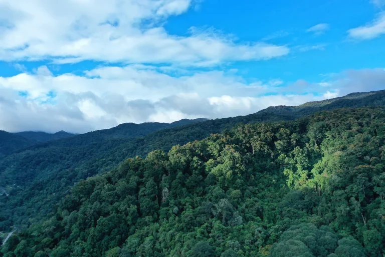 Costa Rica Ecotourism: The Complete Guide to Nature, Wildlife and Responsible Travel, photo 5