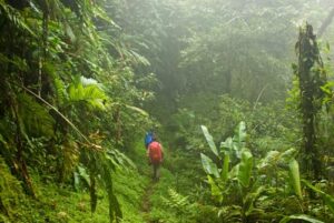 sustainable-tourism-costa-rica