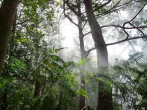 sustainable-tourism-in-costa-rica
