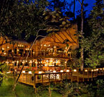 the pacuare jungle lodge