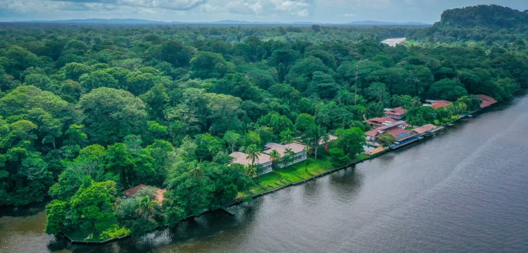Costa Rica’s Conservation Story: How Forests, National Parks and Ecotourism Changed a Country, photo 3