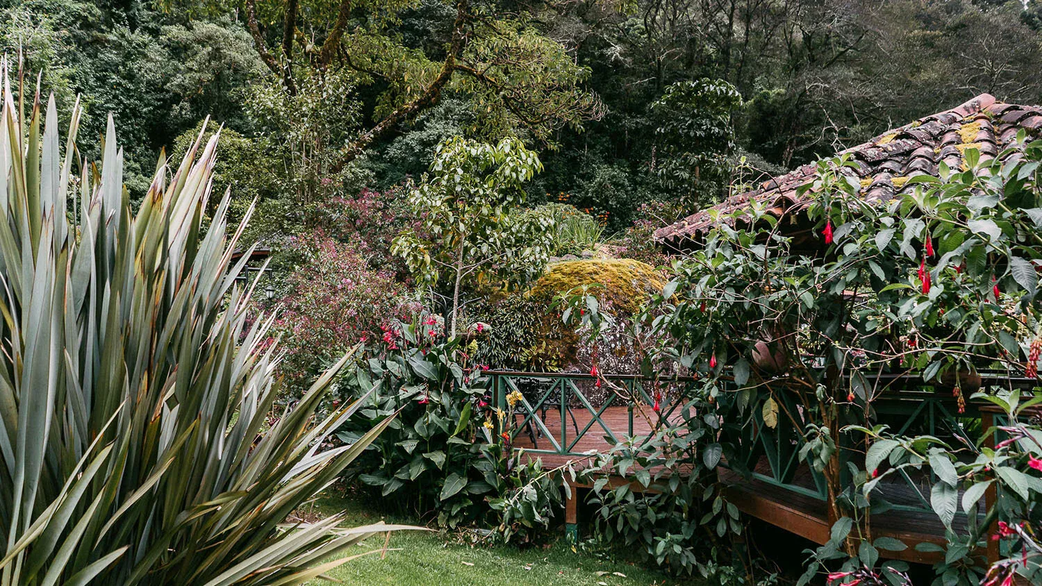 Trogon Lodge, Costa Rica