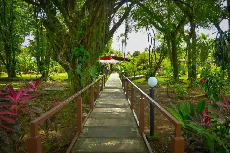 Turtle Beach Lodge, Tortuguero, photo 3