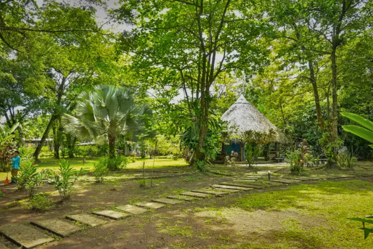 Turtle Beach Lodge, Tortuguero, photo 4