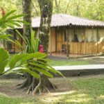 turtle beach lodge hotel