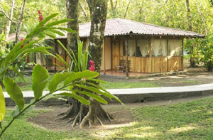 Turtle Beach Lodge